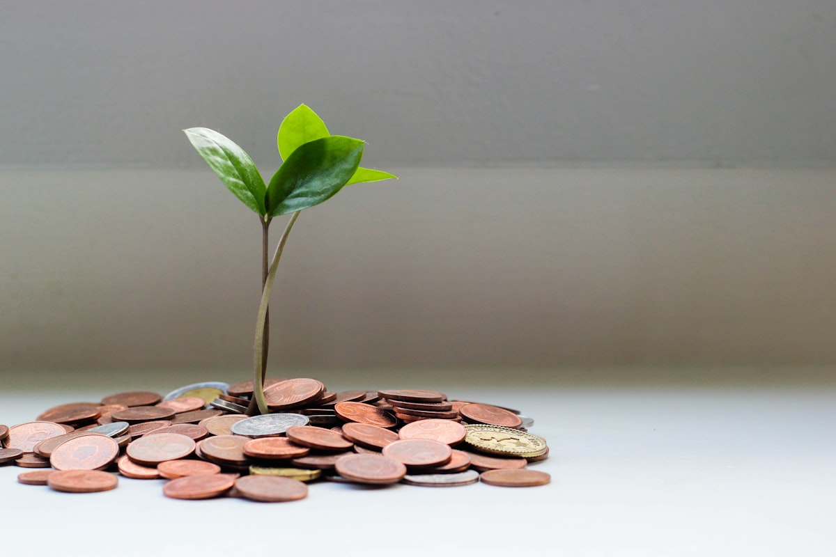 The 7 Personal Finance Rules That Will Change Your Financial Life in 2025